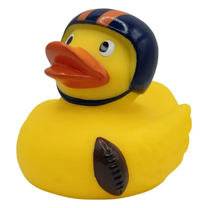 Photo of Football Duck