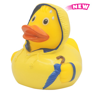 Photo of Bad Weather Duck