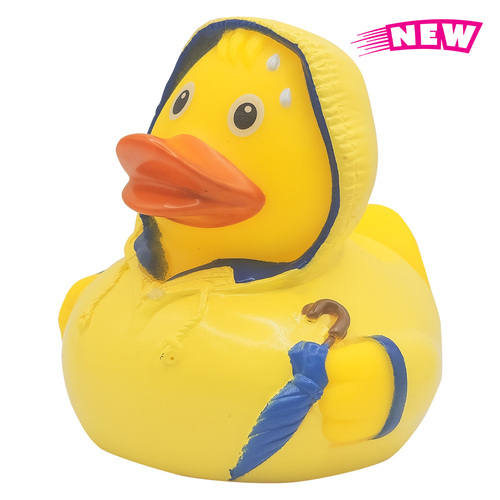 Photo of Bad Weather Duck