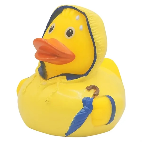 Photo of Bad Weather Duck