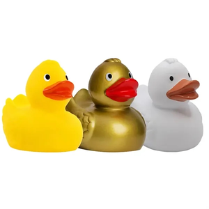 Photo of Duck With Wings