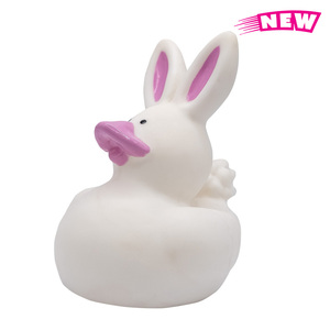Photo of Mini Bunny Duck