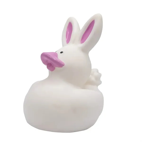 Photo of Mini Bunny Duck