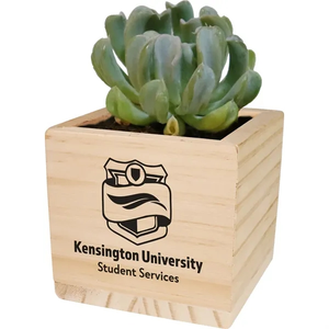 Photo of Wooden Cube Grow Kit With Succulent