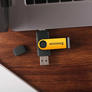 Photo of Dual Drive Flash Drive