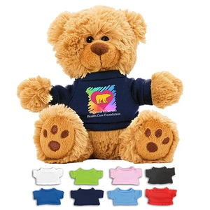Photo of 6  Plush Teddy Bear With Choice Of T Shirt Color