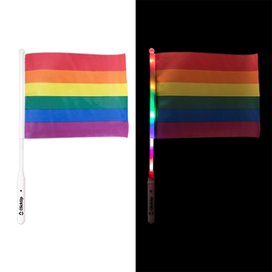 Photo of Pride Led Flag