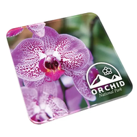 Custom Acrylic Drink Coasters  Cork Back
