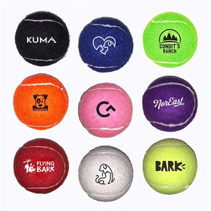 Photo of Dog Bone Shape Reflective Safety Collar Tag