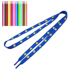Photo of Shoelace
