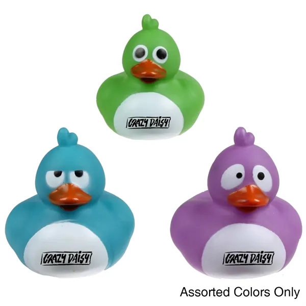 Assorted color option for Crazy Pigeon Duck