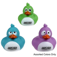 Crazy Pigeon Duck