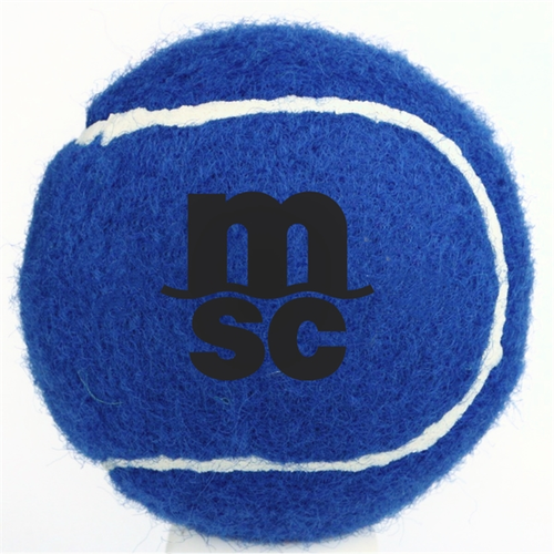 Main photo of Tennis Pet Fetch Toy