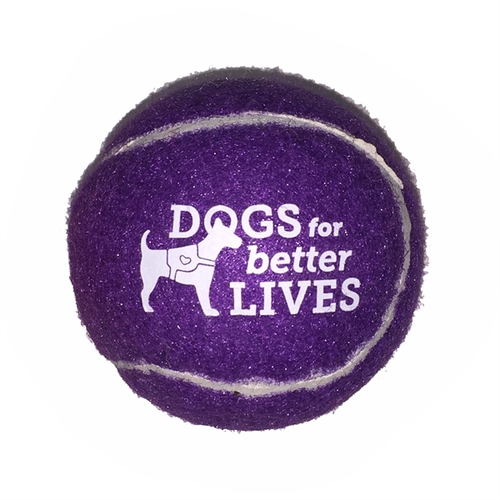 Main photo of Pet Fetch Toy Tennis Ball