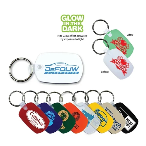 Main photo of Standard Key Fob