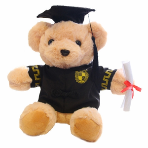 Photo of Graduation Teddy Bear