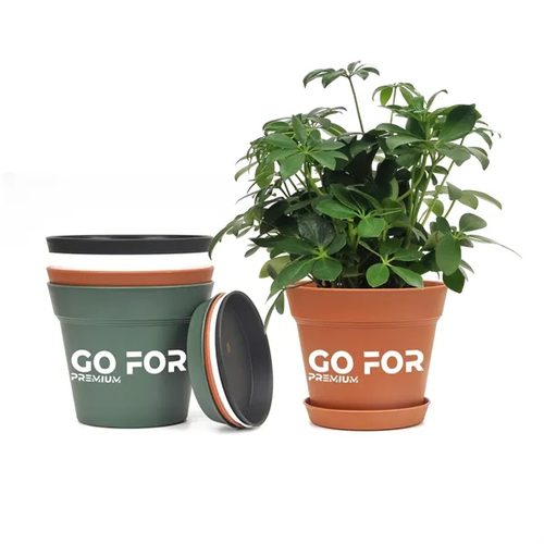 Main photo of Plant Pots