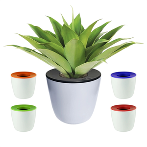 Photo of Mini Desk Plant Pot