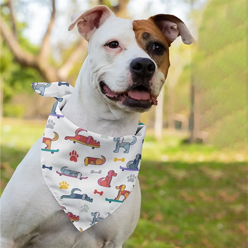 Photo of Pet Bandana Full Color 16x16