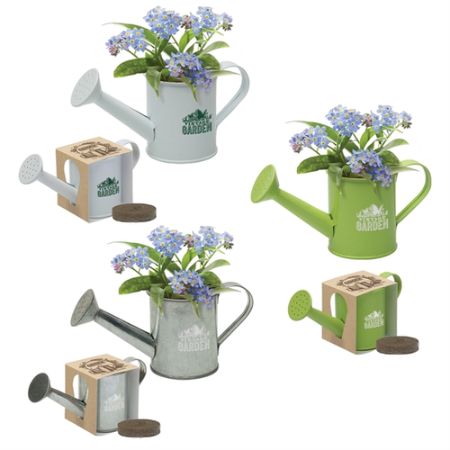 Main photo of Mini Watering Can Blossom Kit