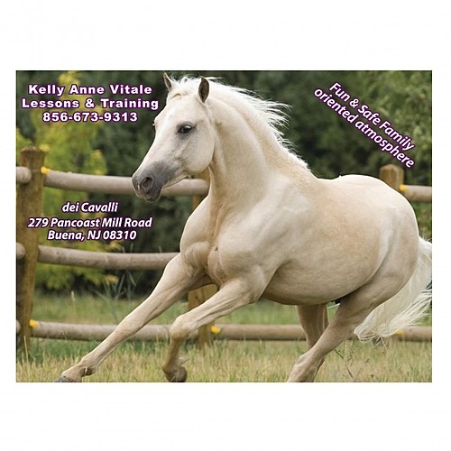 Photo of Rectangle Magnet   609