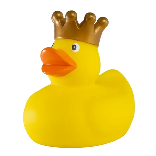 Photo of King Duck