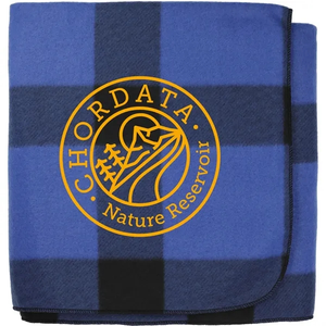Photo of Buffalo Plaid Fleece Blanket