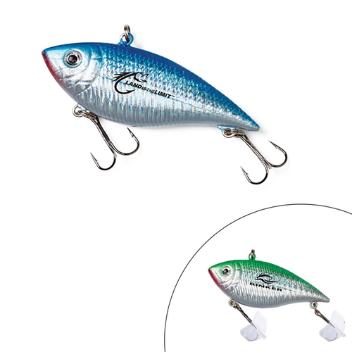 Photo of Diving Minnow Fishing Lure