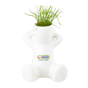 Photo of Grow Guy Planter