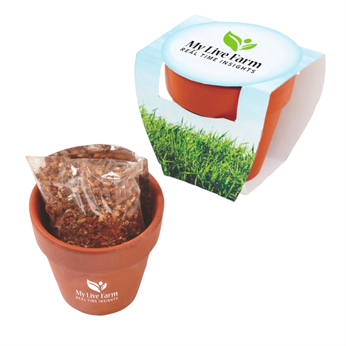 Main photo of Seed Sensations Terracotta Pot Planter