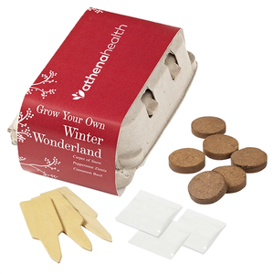 Photo of Winter Wonderland Seed Grow Garden Kit