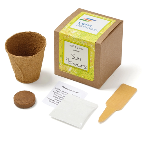 Main photo of Sunflower Seed Growables Planter In Kraft Gift Box