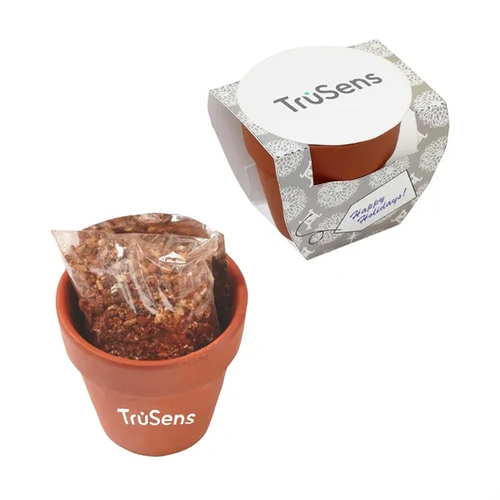 Main photo of Seed Sensations Terracotta Pot With Holiday Wrapper