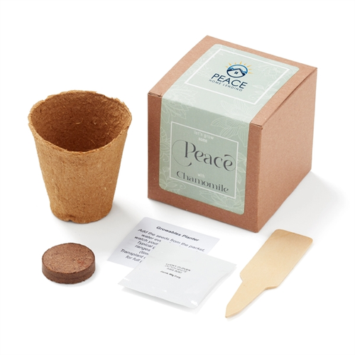 Main photo of Grow Some Peace Planter In Gift Box
