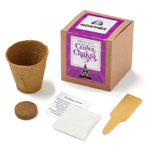 Photo of Crown Chakra Growable In Kraft Gift Box