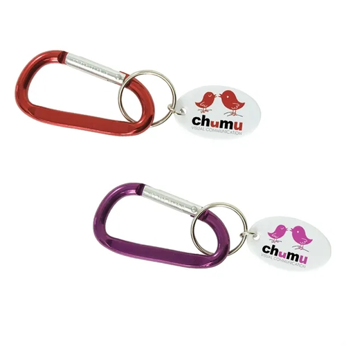 Main photo of Small Carabiner Keytag