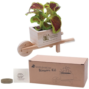 Photo of Wooden Wheel Barrow Blossom Kit