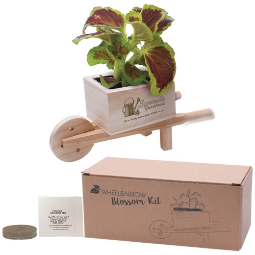 Main photo of Wooden Wheel Barrow Blossom Kit
