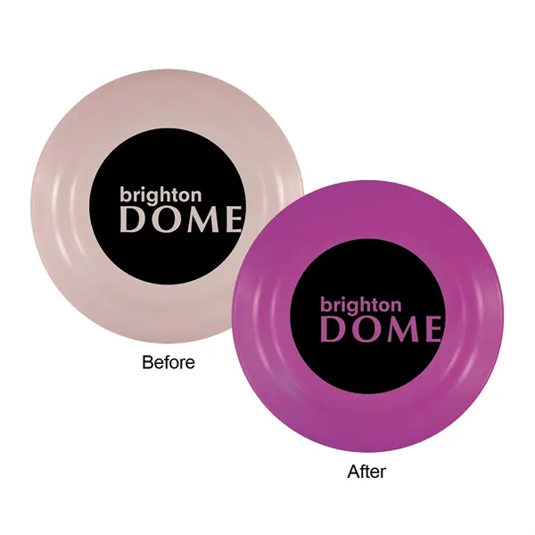 Frosted To Purple color option for Sun Fun Value Flyer