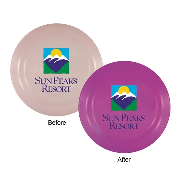 Frosted To Purple color option for Sun Fun Value Flyer, Full Color Digital