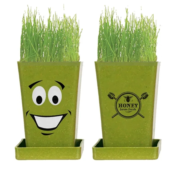 Green color option for Expression Planter 1 Pack Planter