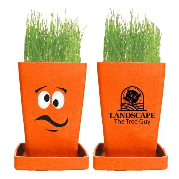 Orange color option for Expression Planter 1 Pack Planter