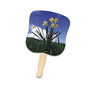 Photo of Stock Design Hand Fan Daffodils