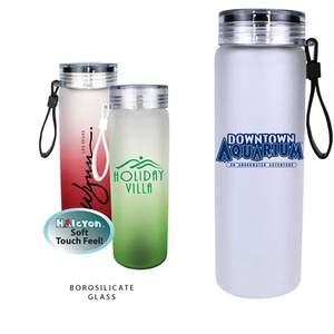 Photo of Halcyon® 20 Oz. Frosted Glass Bottle With Screw On Lid