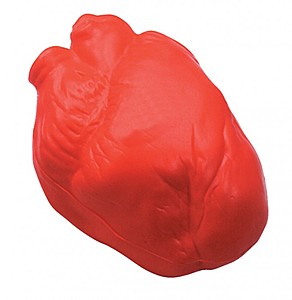 Photo of Anatomic Heart Squeezies