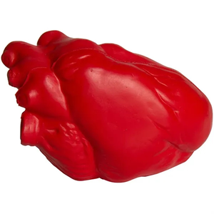 Photo of Anatomic Heart Squeezies