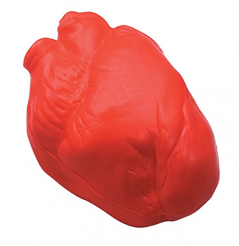 Photo of Anatomic Heart Squeezies