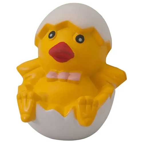 Photo of Chick In Egg Squeezies