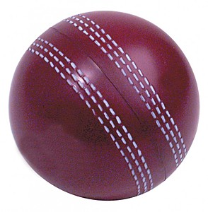 Photo of Cricket Ball Squeezies