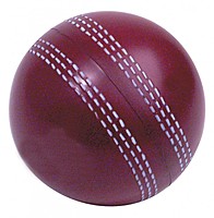 Cricket Ball Squeezies